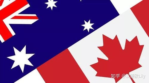 加拿大pk澳大利亚