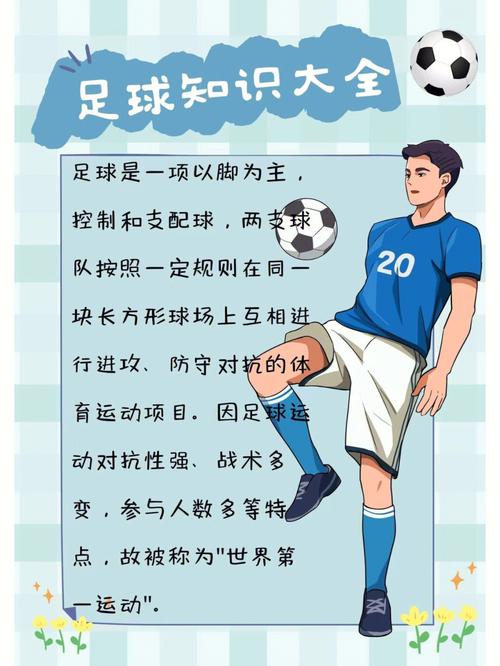 哪里能看到粤语解说足球