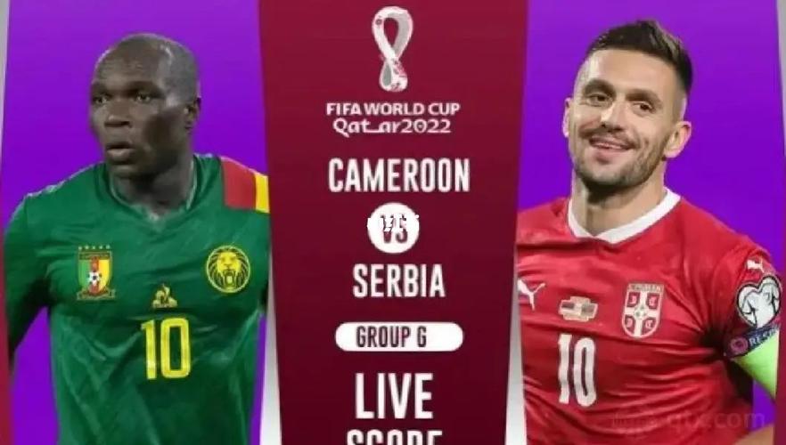 喀麦隆VS塞尔维亚比分预测