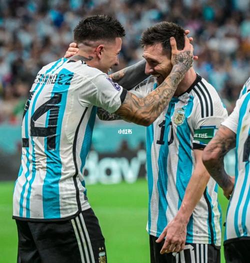 阿根廷2比0墨西哥贺炜解说完整版